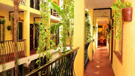 Hacienda Mariposa Boutique | Quintana Roo - Solidaridad - Playa del Carmen