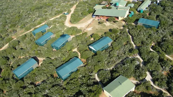 Kudu Ridge Game Lodge | Eastern Cape - Sundays River Valley - Addo