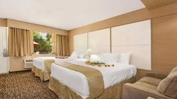 Ocean Beach Palace Hotel and Suites | Florida - Fort Lauderdale (ve civarı) - Fort Lauderale