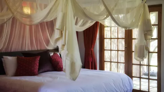 Thatch and Thorn Guest House | Gauteng - City of Tshwane - Johannesburg (ve civarı) - Midrand