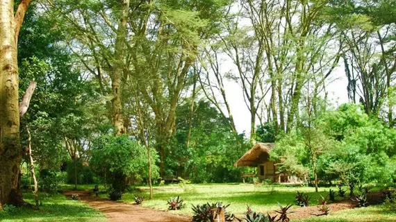 Migunga Tented Camp | Arusha Bölgesi - Manyara Gölü Ulusal Parkı