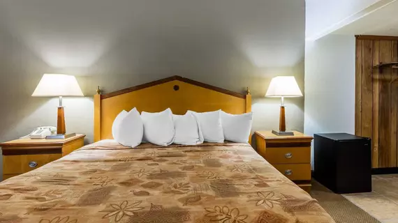 Econo Lodge Inn and Suites | Arkansas - Hot Springs (ve civarı) - Hot Springs