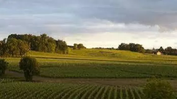 Château La Rose Perrière | Nouvelle-Aquitaine - Gironde (bölge) - Lussac