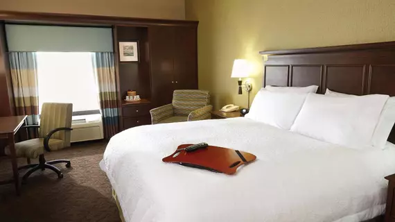 Hampton Inn by Hilton Elko | Nevada - Elko (ve civarı) - Elko