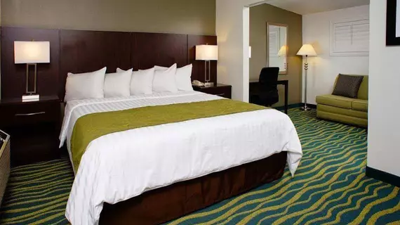 Hi View Inn & Suites | Kaliforniya - Los Angeles County - Torrance