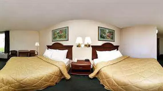 Comfort Inn Opryland Area | Tennessee - Nashville-Davidson - Nashville (ve civarı) - Nashville - Opryland - Donelson