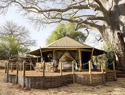 Sanctuary Swala | Manyara Bölgesi - Tarangire Ulusal Parkı