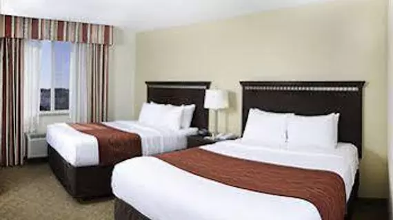 Comfort Suites Tampa Airport North | Florida - Tampa (ve civarı) - Tampa