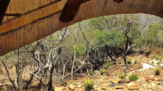 Bona Intaba Game Lodge | Limpopo - Maruleng - Hoedspruit