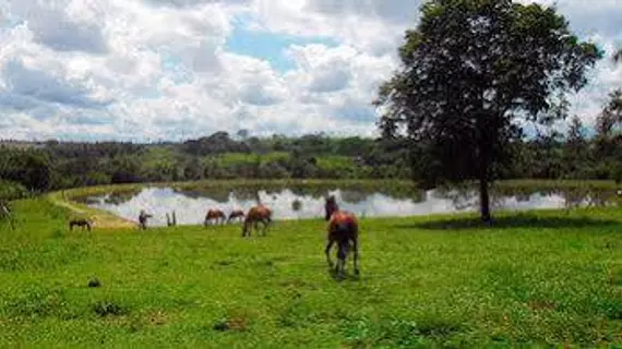 Fazenda Pousada das Palmeiras | Southeast Region - Sao Paulo (eyaleti) - Bauru (ve civarı) - Brotas