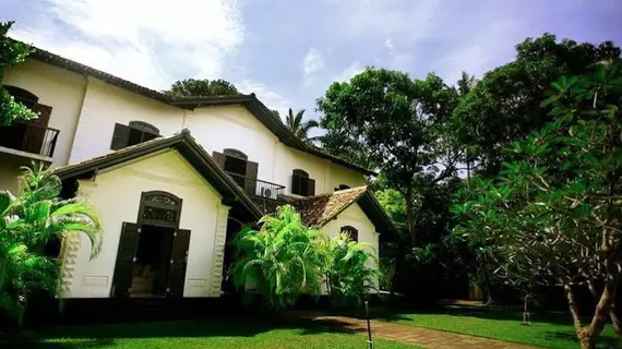 Galle Henna Estate | Southern Province - Galle Bölgesi - Unawatuna - Habaraduwa