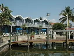 Dolphin Inn Resort | Florida - Fort Myers (ve civarı) - Fort Myers Beach