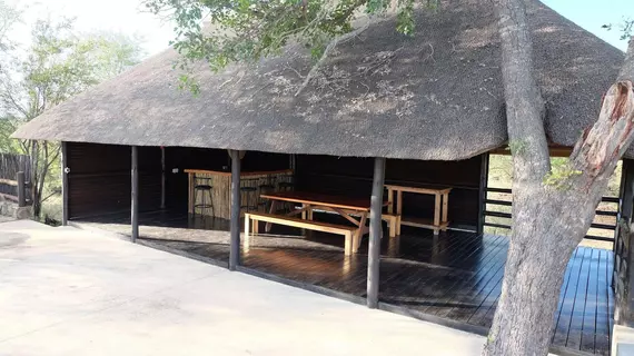 isiLimela Game Lodge | Limpopo - Maruleng - Hoedspruit