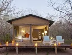 Ngama Tented Safari Lodge | Limpopo - Maruleng - Hoedspruit