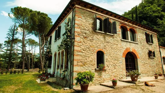 Villa La Ginestra | Toskana - Arezzo (vilayet) - Subbiano