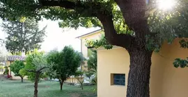 Agriturismo Il Casolare Di Nonno Mario | Abruzzo - Pescara (il) - Manoppello