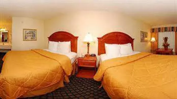 Comfort Inn Sun City Center | Florida - Tampa (ve civarı) - Sun City Center