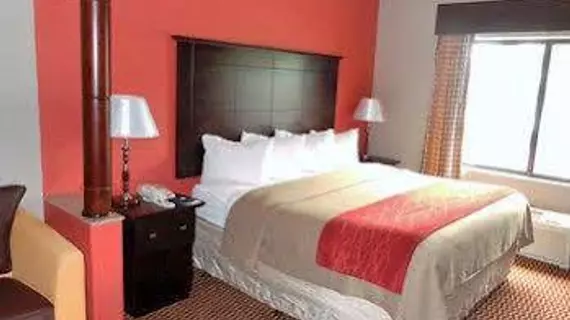 Comfort Inn and Suites Melvindale | Michigan - Detroit (ve civarı) - Melvindale