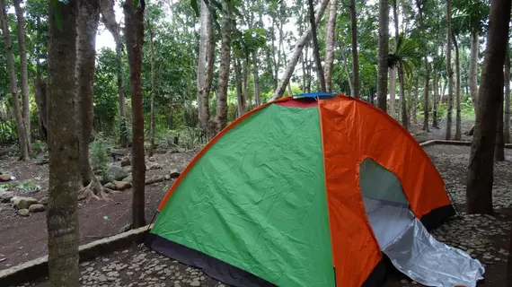 Tent and Breakfast at Irawan Ecopark | Mimaropa - Palawan - Puerto Princesa