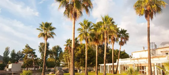 Aparthotel Elisa | Balearic Adaları - Mayorka Adası - Pla de Mallorca