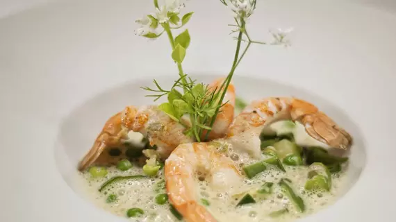 Hôtel Restaurant & Spa Plaisir | Nouvelle-Aquitaine - Charente-Maritime (bölge) - Le Bois-Plage-en-Re