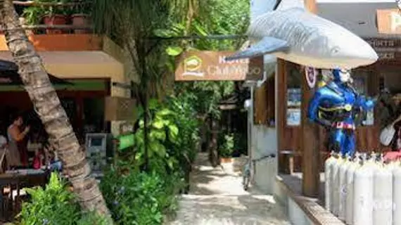 Club Yebo Hotel | Quintana Roo - Solidaridad - Playa del Carmen