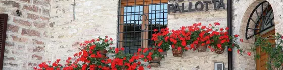 Hotel Trattoria Pallotta | Umbria - Perugia (vilayet) - Assisi