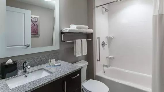 TownePlace Suites by Marriott Chicago Schaumburg | İllinois - Schaumburg