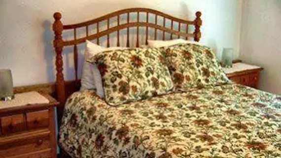 Locust Tree Bed and Breakfast | Connecticut - Torrington (ve civarı) - Canaan