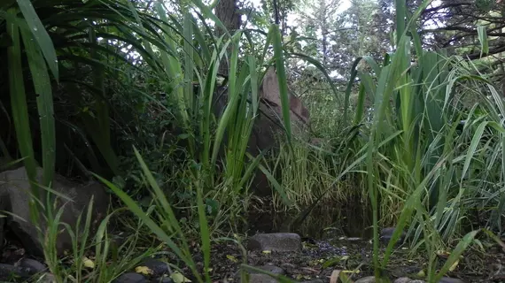 Tierraventana | Buenos Aires (ili) - Sierra de la Ventana