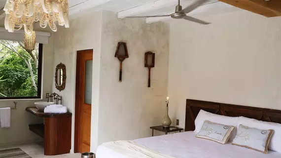 Hotel La Semilla | Quintana Roo - Solidaridad - Playa del Carmen