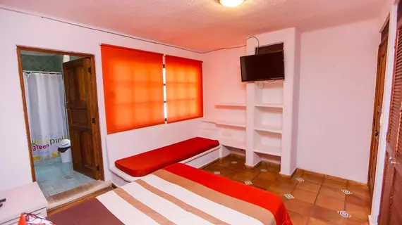 Mezcal Hostel | Quintana Roo - Benito Juárez - Cancun (ve civarı) - Cancun - Cancun Merkezi