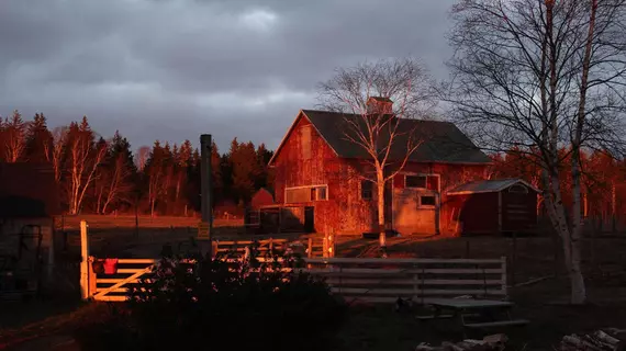 Seaweed and Sod Farm Bed and Breakfast | Nova Scotia - Kempt Head