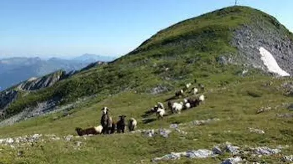 Gasthof Laudersbach | Salzburg (eyalet) - Sankt Johann im Pongau - Altenmarkt im Pongau