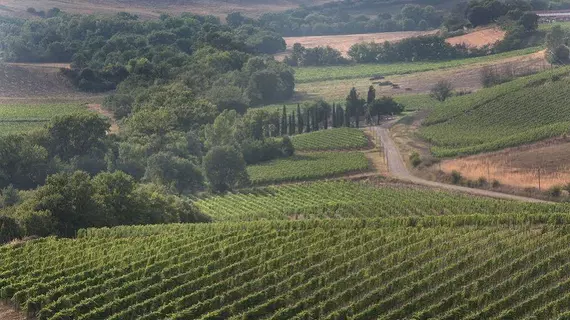 Agriturismo A. Bonacchi | Toskana - Siena (vilayet) - Montalcino