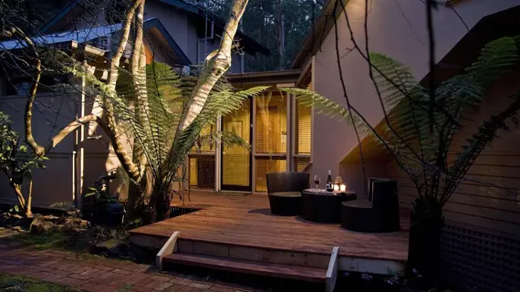 Linden Gardens Rainforest Retreat | Victoria - Melbourne (ve civarı) - Mount Dandenong