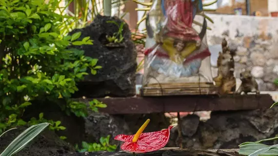 Posada La Casa de Ana Tepoztlan | Morelos - Tepoztlan