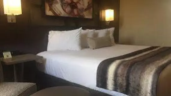 Best Western Plus Austin Central | Teksas - Austin (ve civarı) - Austin - North Loop