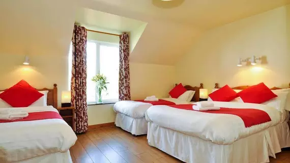 Dingle Harbour Nights B&B | Kerry (kontluk) - Dingle