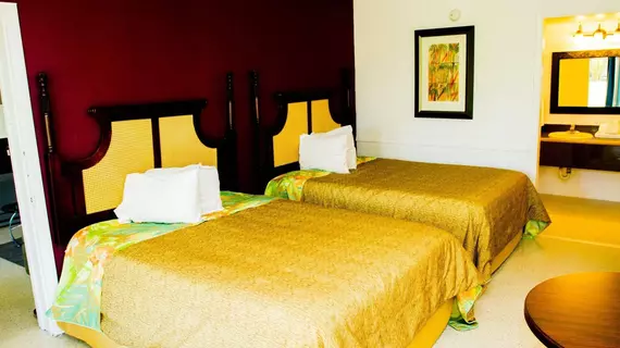 The Flamingo Resort - Gay Adult Resort | Florida - St. Petersburg - Clearwater (ve civarı) - St. Petersburg