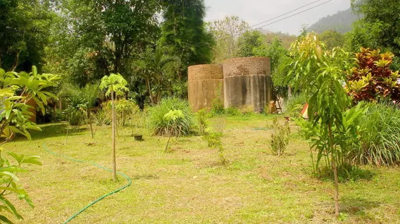 Jungle Zone | Mae Hong Son İli - Pai