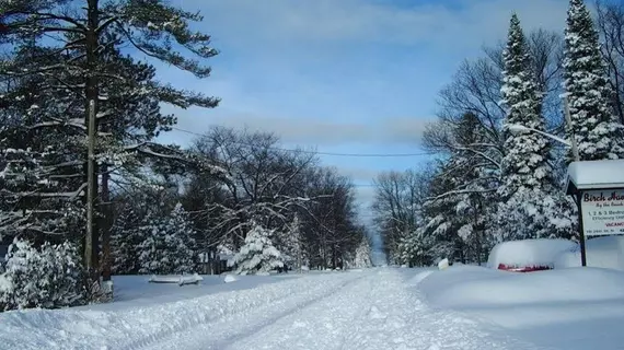 Birch Haven by the Beach | Ontario - Barrie - Orillia (ve civarı) - Wasaga Plajı