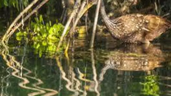 ROSEWOOD MAYAKOBA RIVIERA MAYA | Quintana Roo - Solidaridad - Playa del Carmen - Mayakoba