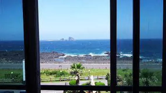 Jeju Pearlfarm Pension | Jeju Adası - Seogwipo - Daejeong - Andeok