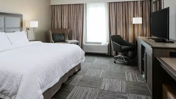 Hampton Inn and Suites Hudson | Wisconsin - Hudson (ve civarı) - Hudson