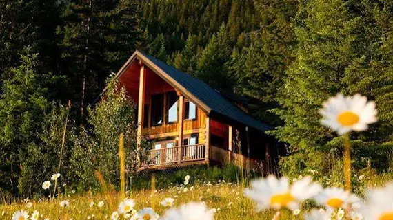 Mount 7 Lodges | Britanya Kolombiyası - Golden (ve civarı) - Golden