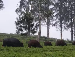 Green Nest Resort Kotagiri | Tamil Nadu - Ooty (ve civarı) - Kotagiri