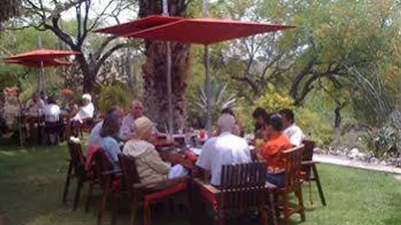 Nirvana Restaurant & Retreat | Guanajuato - San Miguel de Allende - Atotonilco