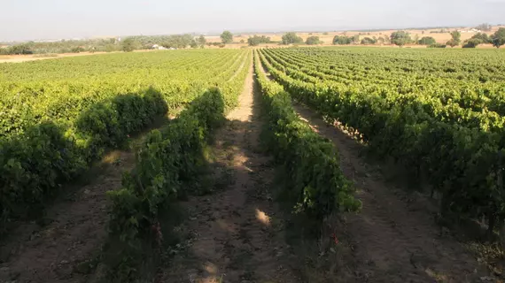 Monte Da Serralheira | Alentejo - Evora Bölgesi - Evora