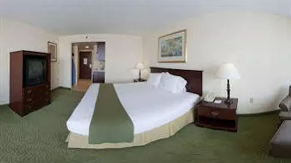 HOLIDAY INN EXPRESS & SUITES I | Güney Karolayna - Greenville - Spartanburg (ve civarı) - Spartanburg